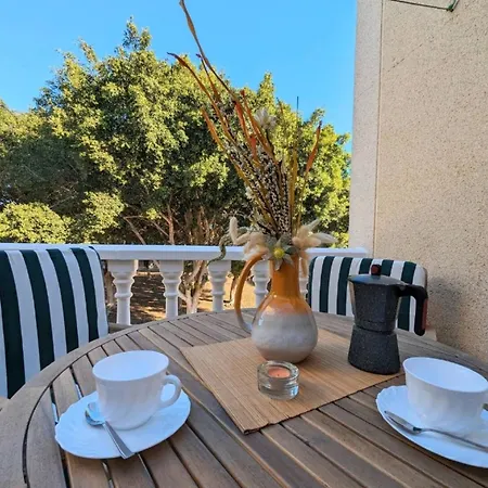 R-41 Alboran Torrevieja